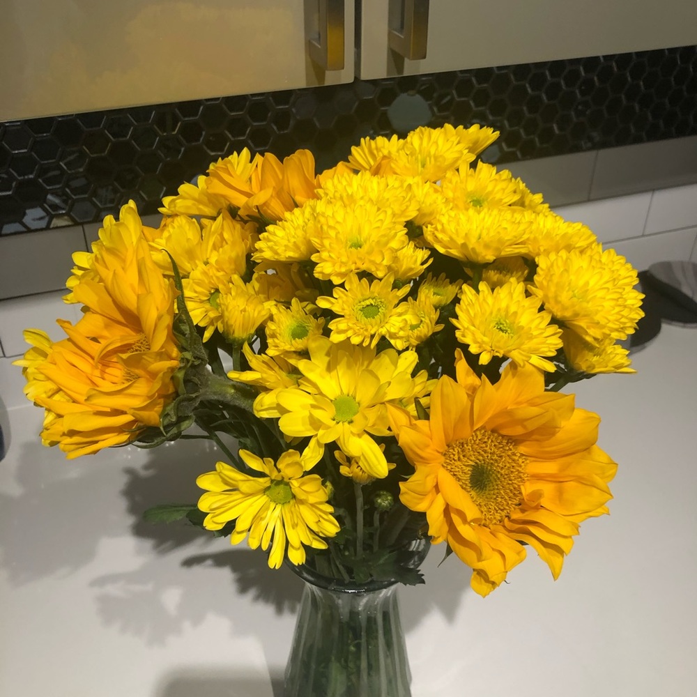 Meet your Posher, Ali